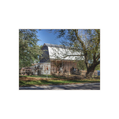 U R There Photography Birch Run Road Grey Rustic Farmhouse Decorative Ceramic Tile