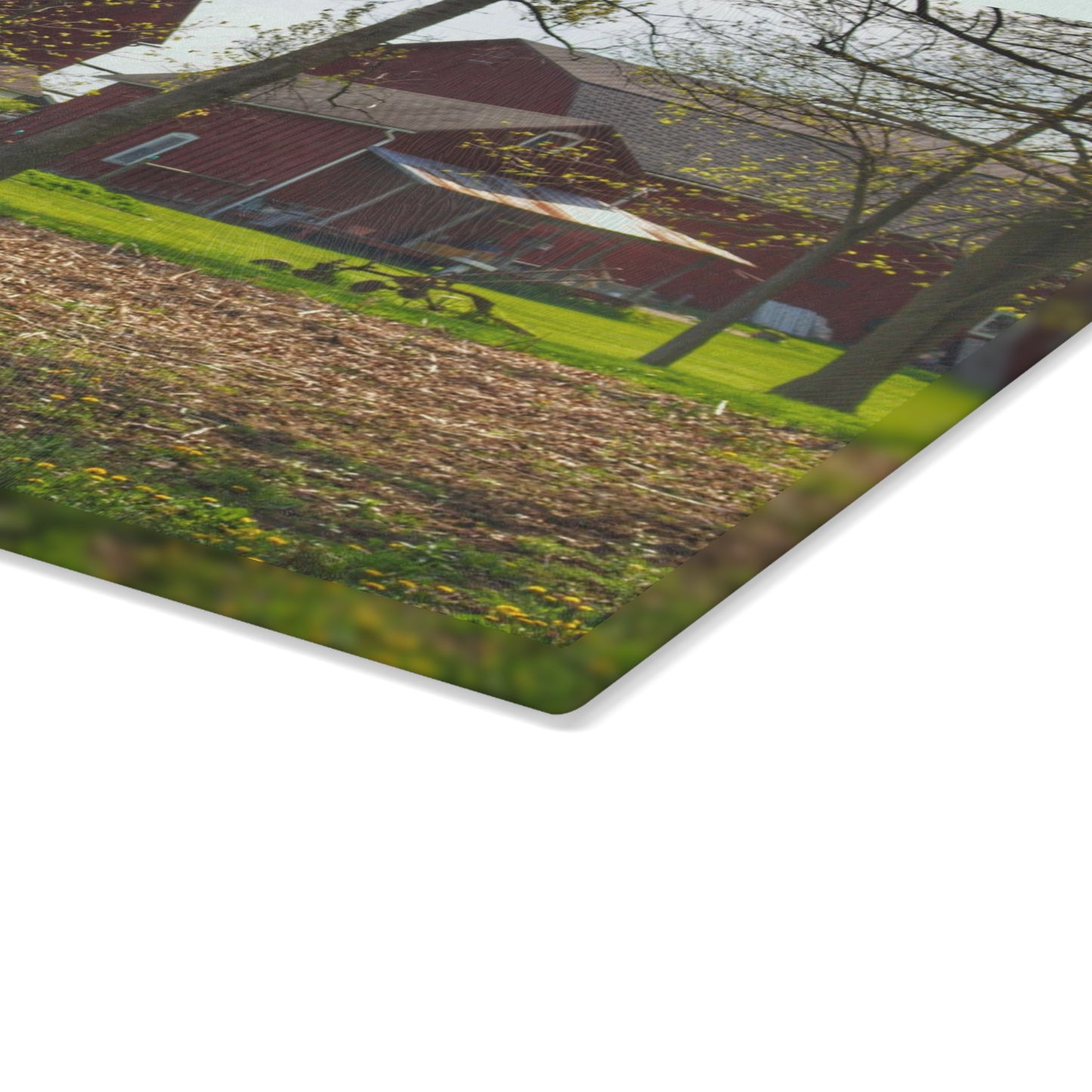 U R There Photography Bishop Road Reds III Rustic Farmhouse Tempered-Glass Cutting Board