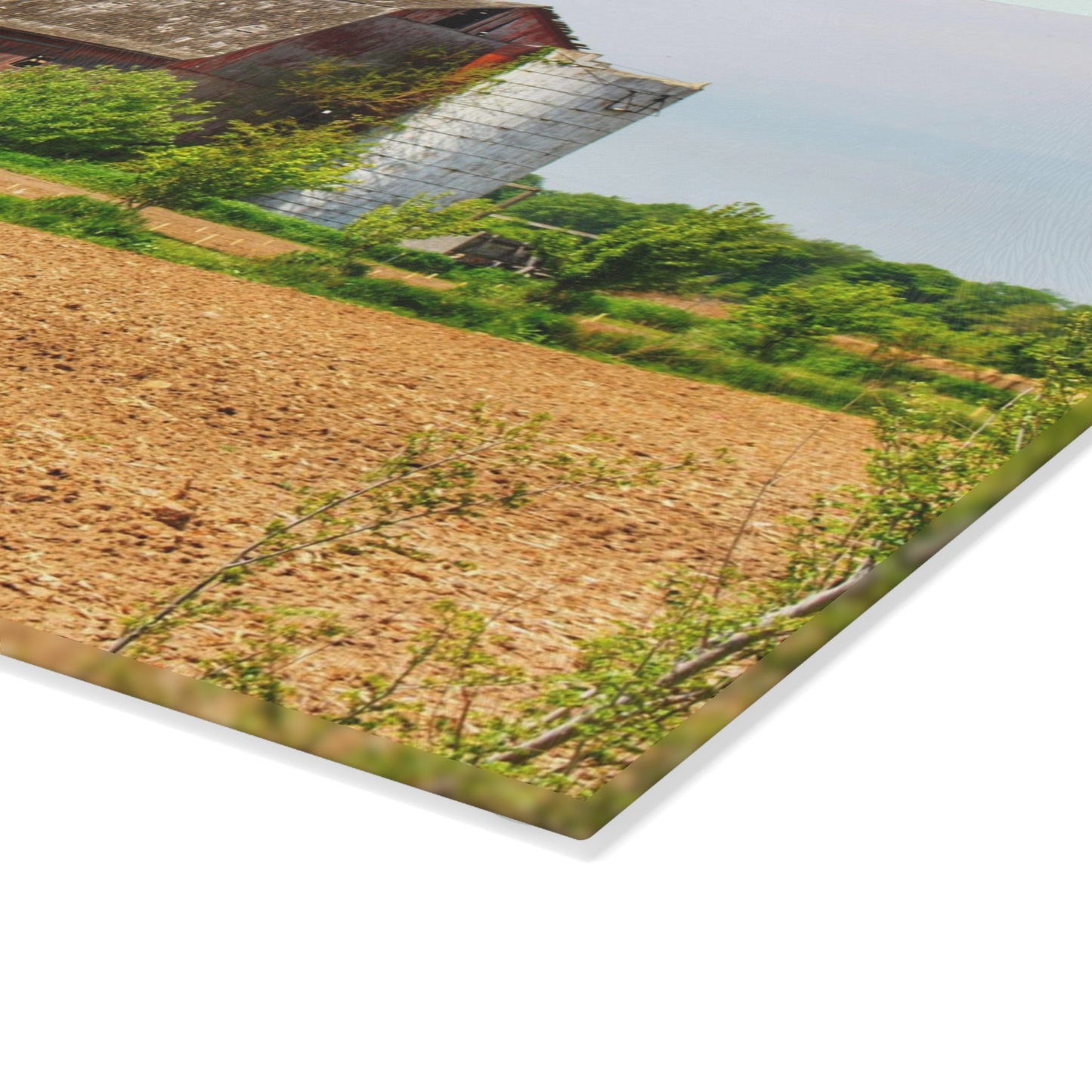 U R There Photography Colwood Road Old Red Rustic Farmhouse Tempered-Glass Cutting Board