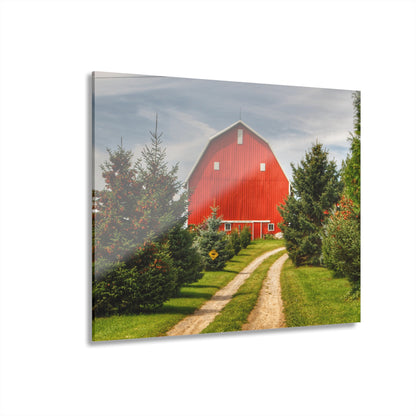 U R There Photography Brown City Road Pine Red Rustic Farmhouse Acrylic Wall Print
