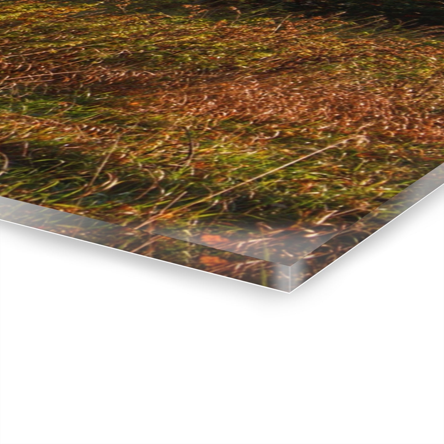 U R There Photography Montgomery Road Reds Rustic Farmhouse Acrylic Wall Print