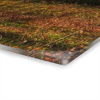 U R There Photography Montgomery Road Reds Rustic Farmhouse Acrylic Wall Print