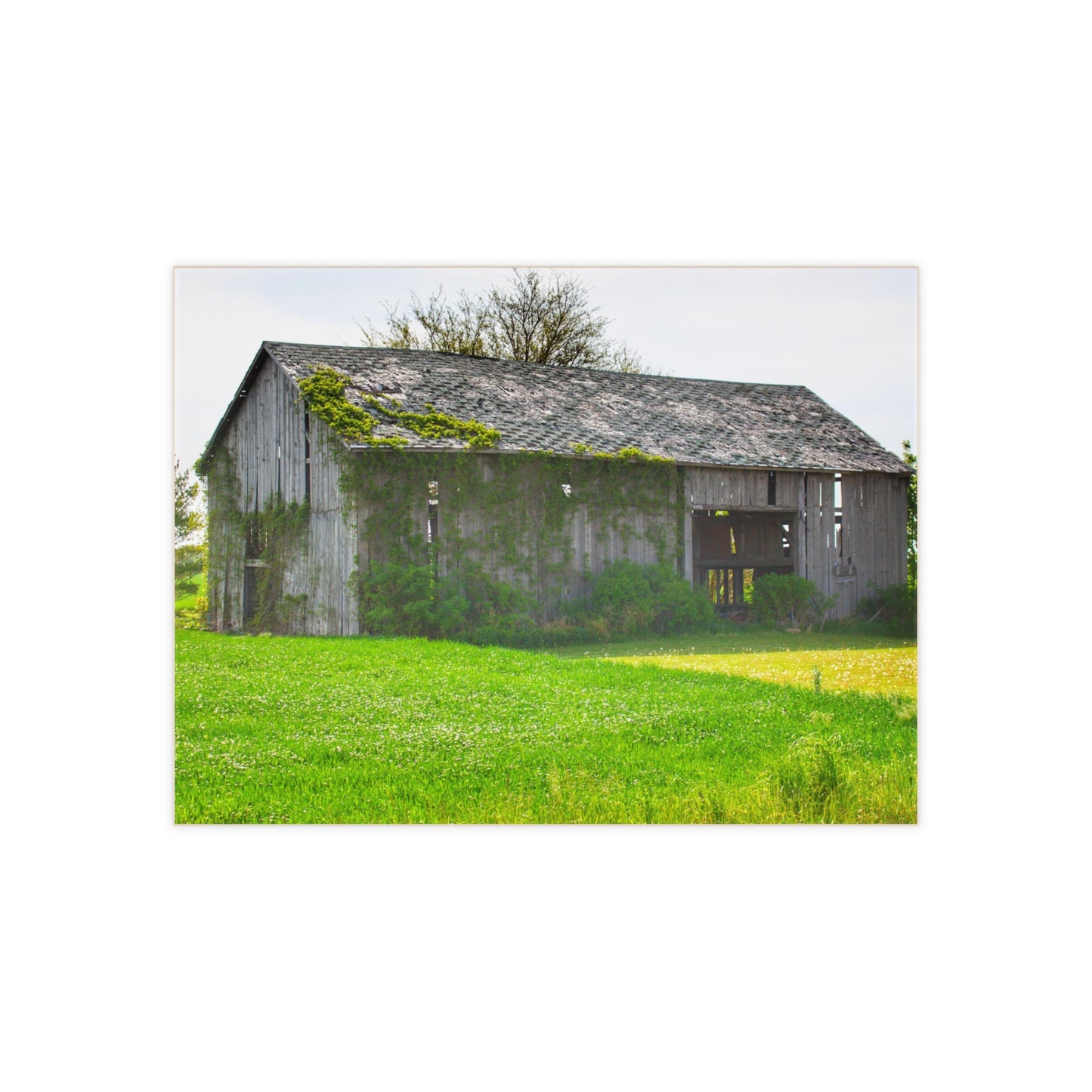 U R There Photography Caro Road Twin Grey II Rustic Farmhouse Decorative Ceramic Tile