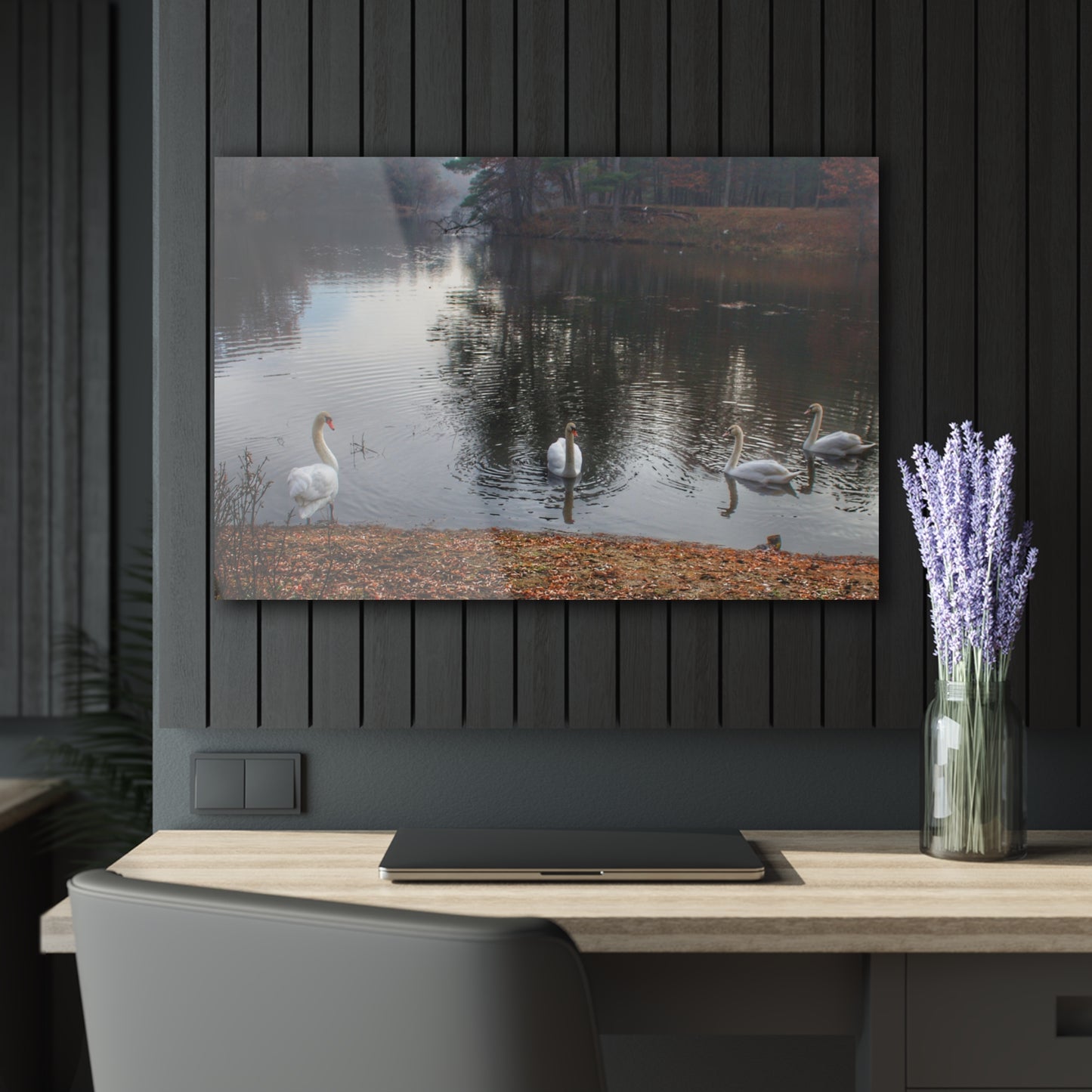 U R There Photography Swans of Duck Lake I Rustic Farmhouse Acrylic Wall Print