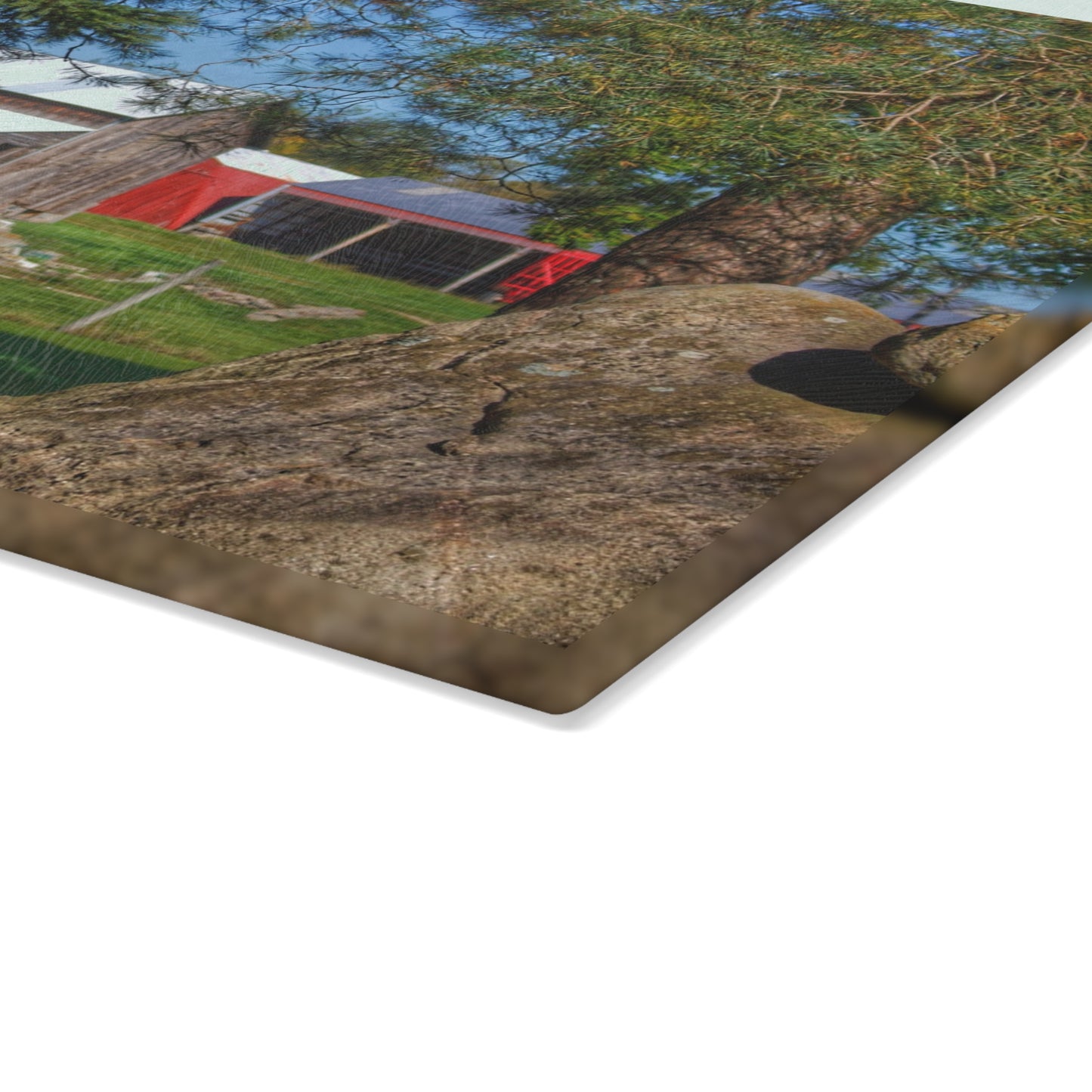 U R There Photography Oakwood Road Old Grey Rustic Farmhouse Tempered-Glass Cutting Board