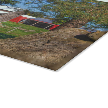 U R There Photography Oakwood Road Old Grey Rustic Farmhouse Tempered-Glass Cutting Board