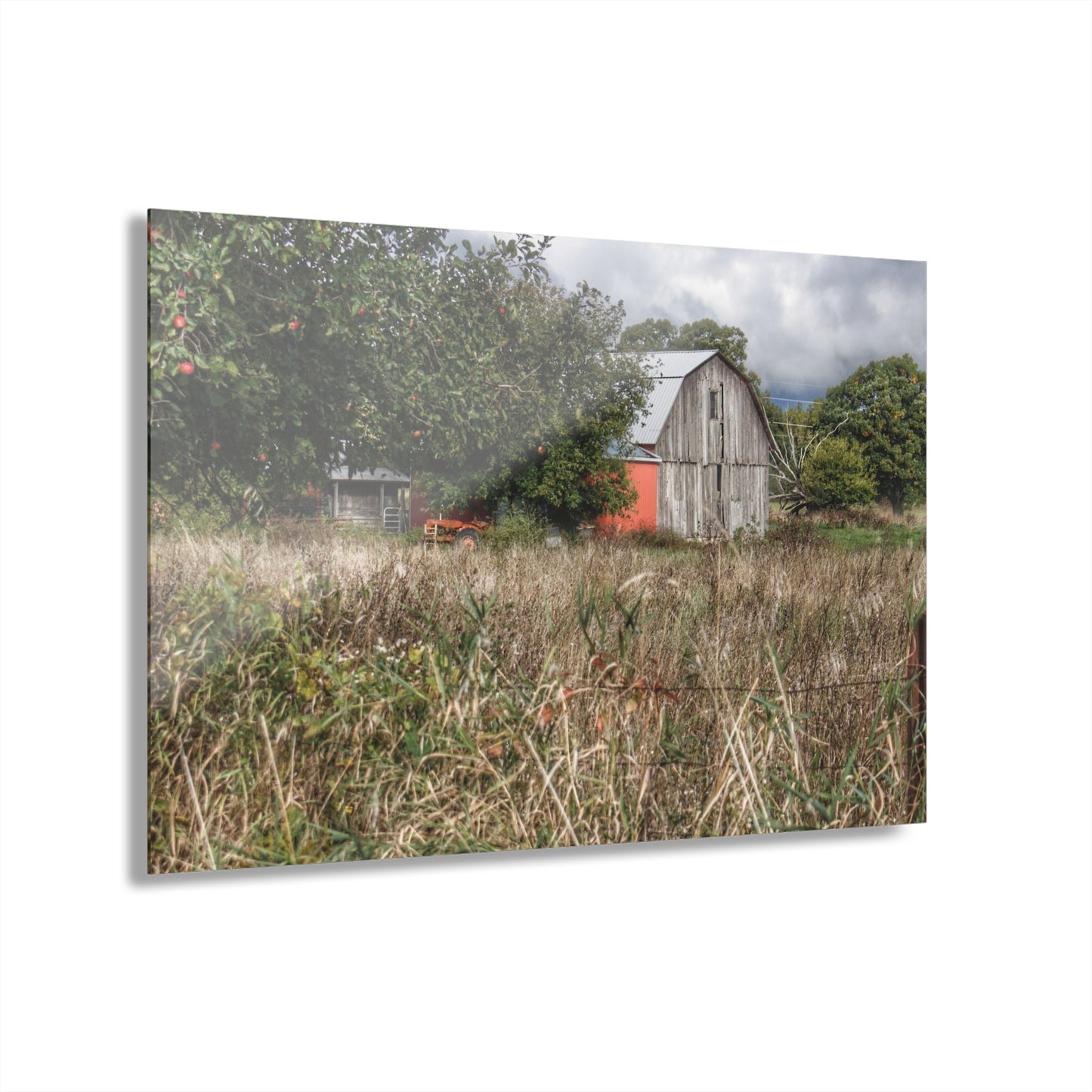 U R There Photography East Frances Road Hidden Grey I Rustic Farmhouse Acrylic Wall Print
