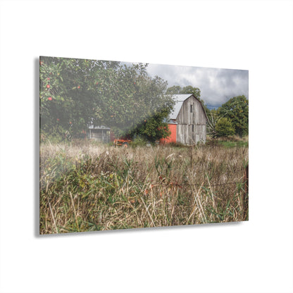 U R There Photography East Frances Road Hidden Grey I Rustic Farmhouse Acrylic Wall Print