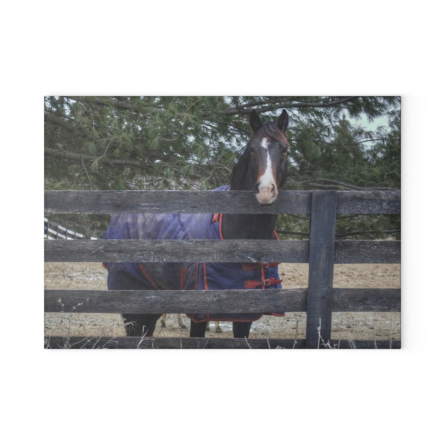 U R There Photography Hosner Road Chestnut Rustic Farmhouse Tempered-Glass Cutting Board