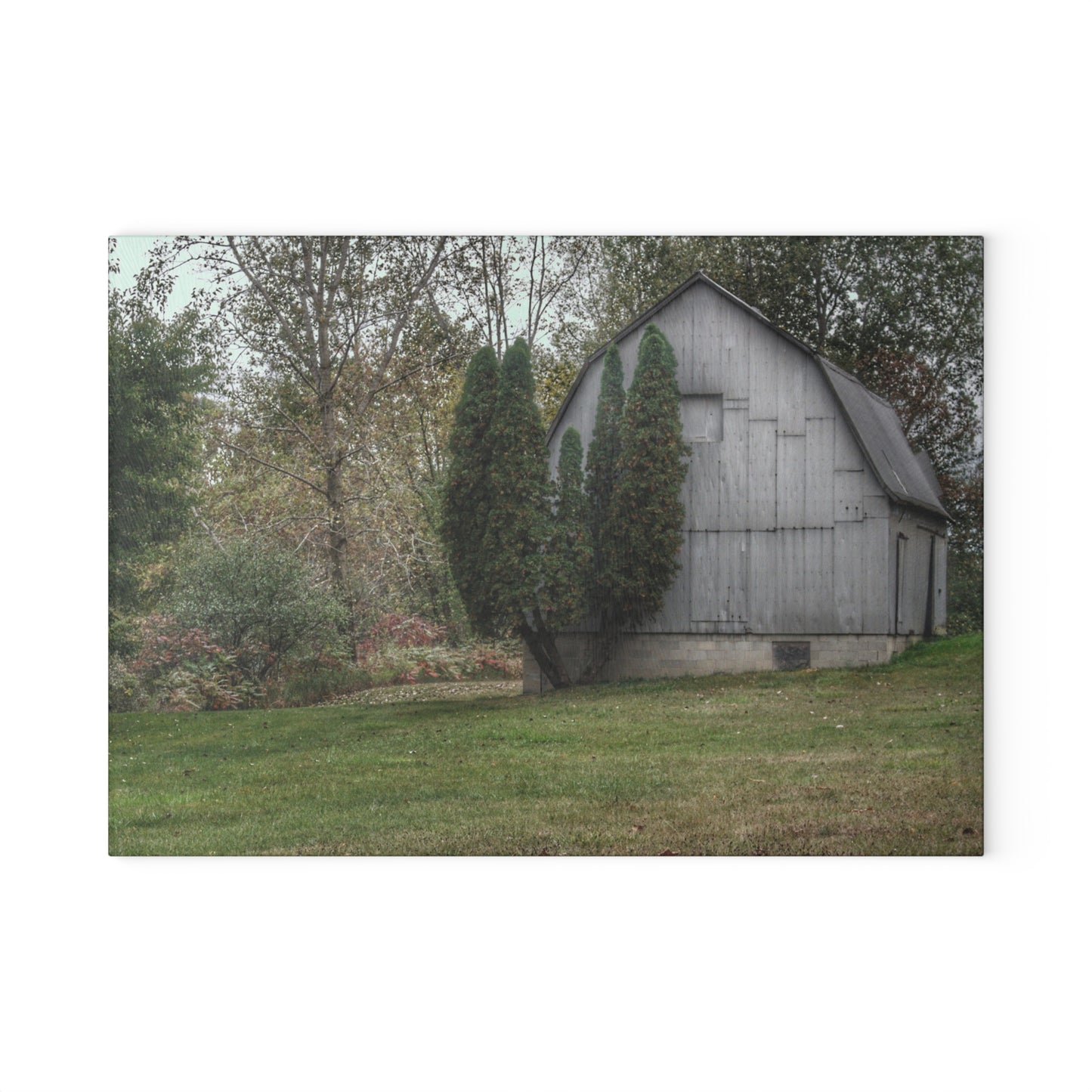 U R There Photography Milliman Road Grey Rustic Farmhouse Tempered-Glass Cutting Board