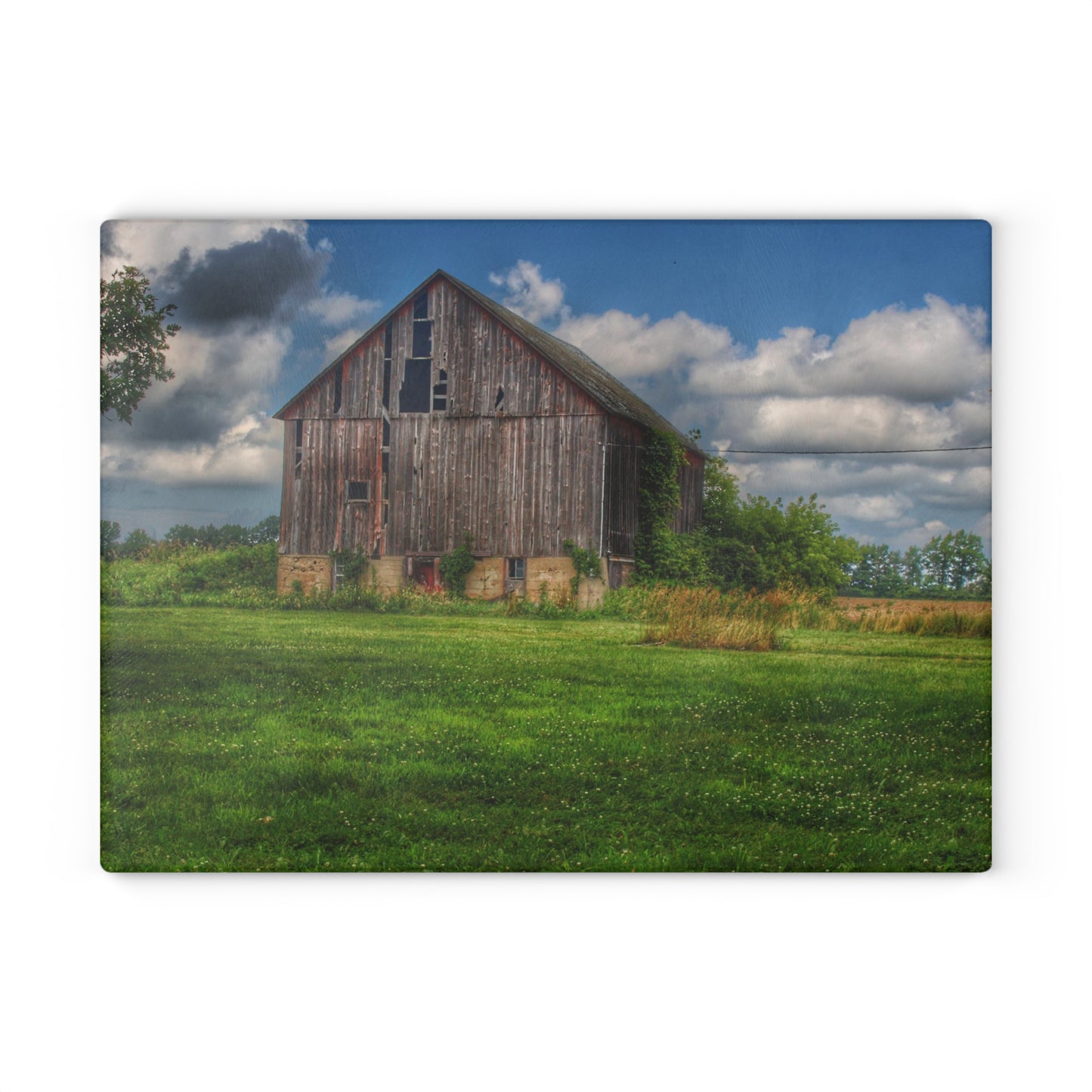 U R There Photography Bohms Road Grey II Rustic Farmhouse Tempered-Glass Cutting Board