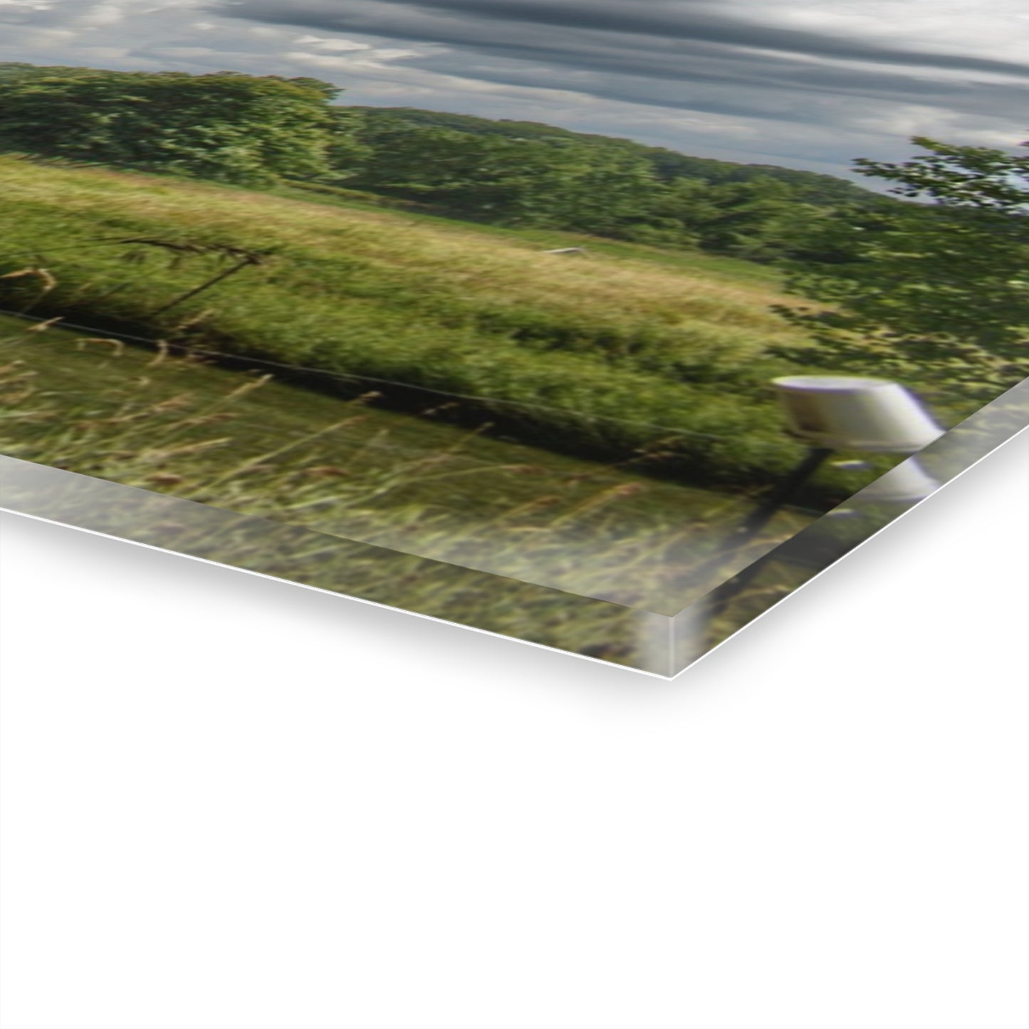 U R There Photography North Branch Ivy Grey II Rustic Farmhouse Acrylic Wall Print