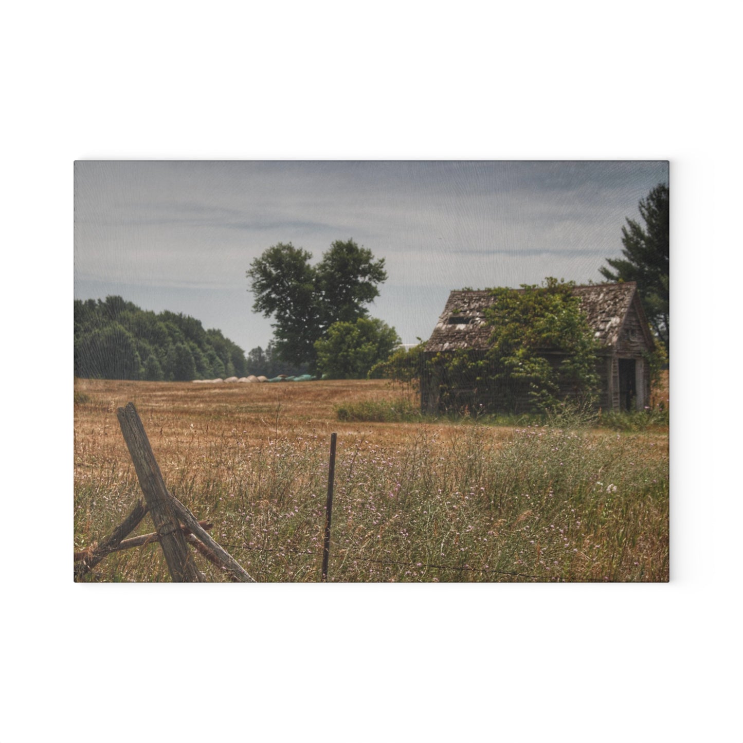 U R There Photography Waterman Road Shack Beyond the Fence Rustic Farmhouse Tempered-Glass Cutting Board