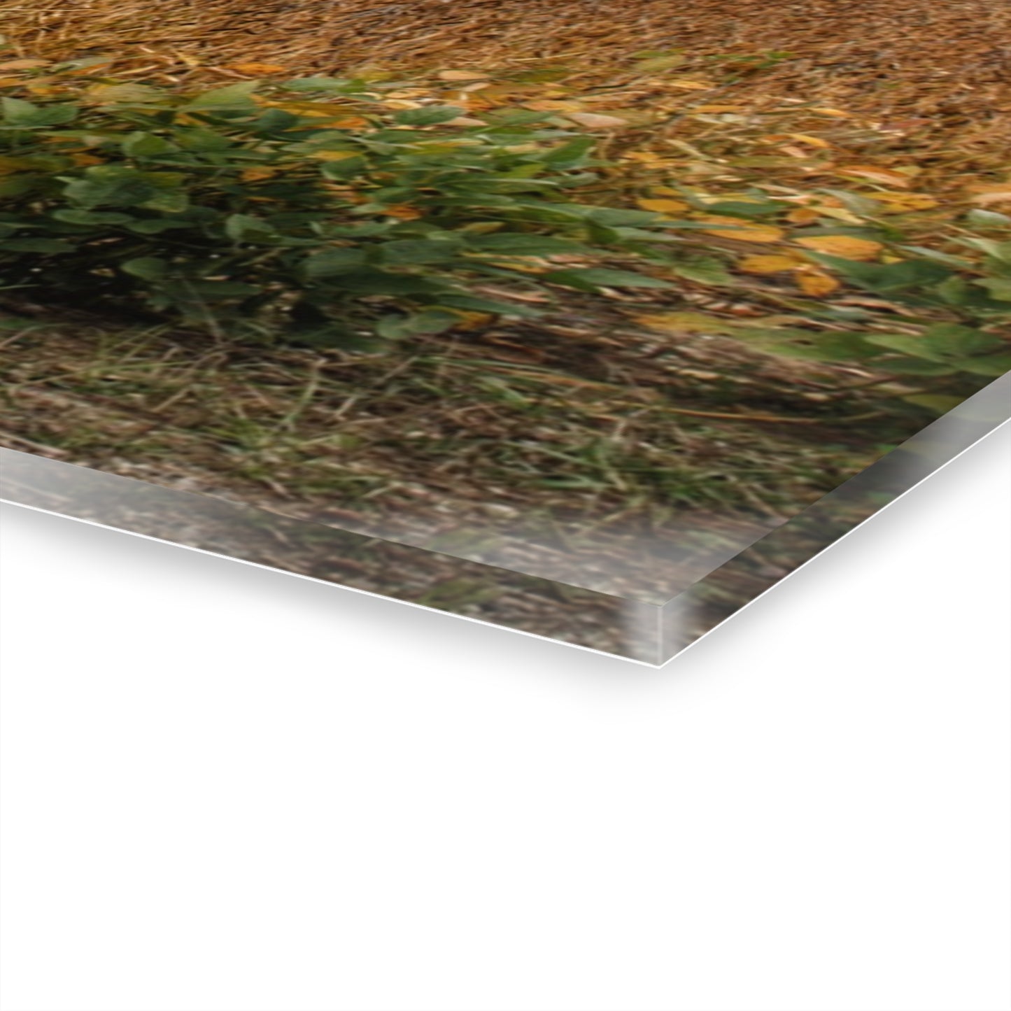 U R There Photography Murphy Lake Road Quonset Clan Rustic Farmhouse Acrylic Wall Print