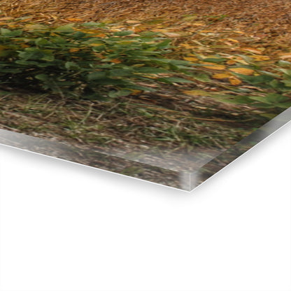 U R There Photography Murphy Lake Road Quonset Clan Rustic Farmhouse Acrylic Wall Print