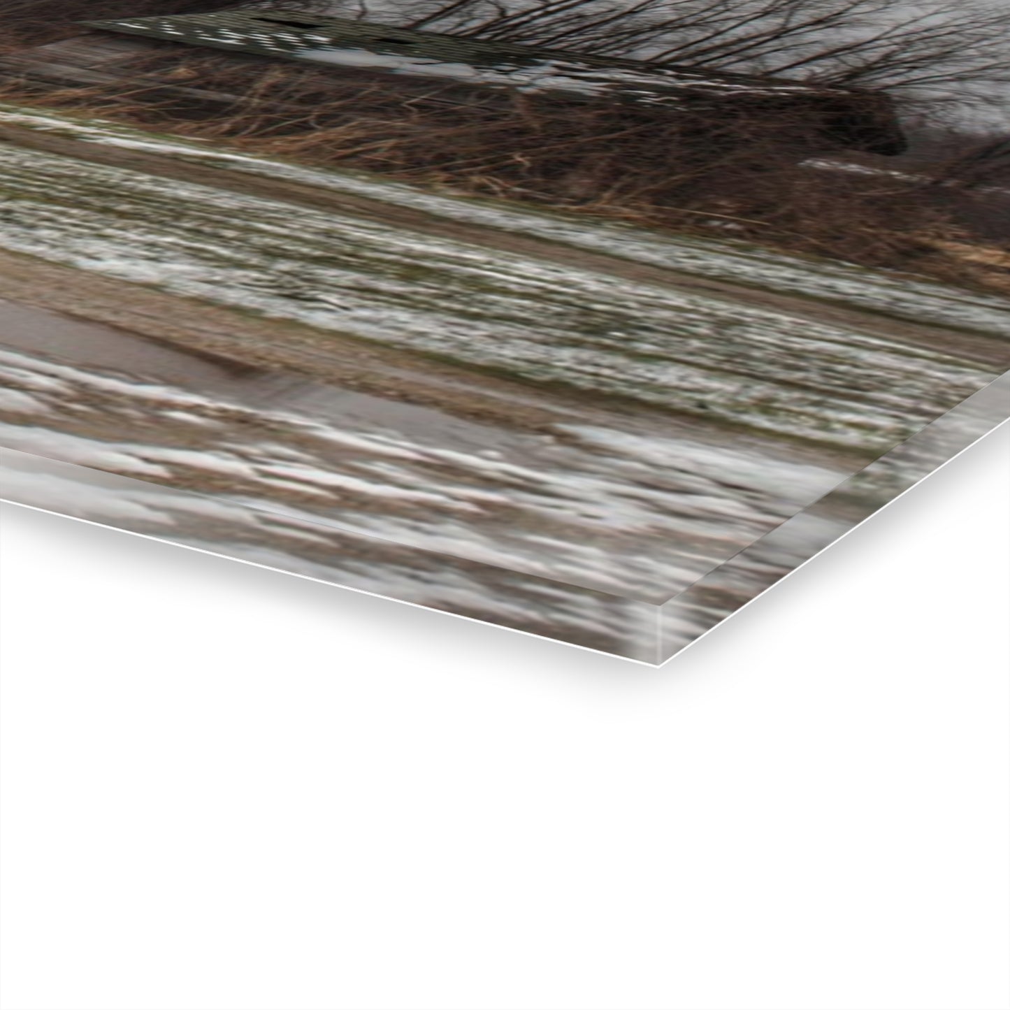Wilder Road Grey in Spring Rustic Farmhouse Acrylic Wall Print
