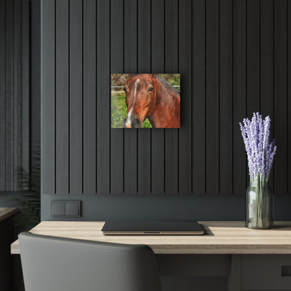 Rustic Farmhouse Wall Print Featuring Irish Road Brownie