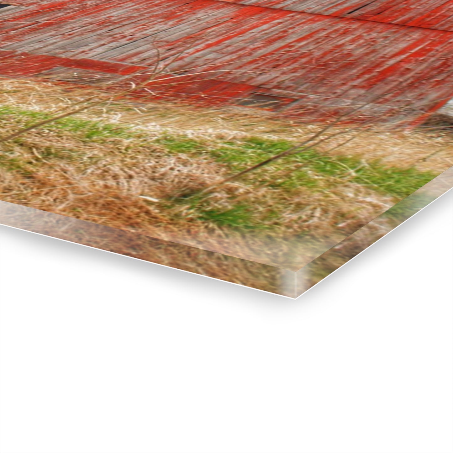U R There Photography Columbiaville Red 2020 Rustic Farmhouse Acrylic Wall Print