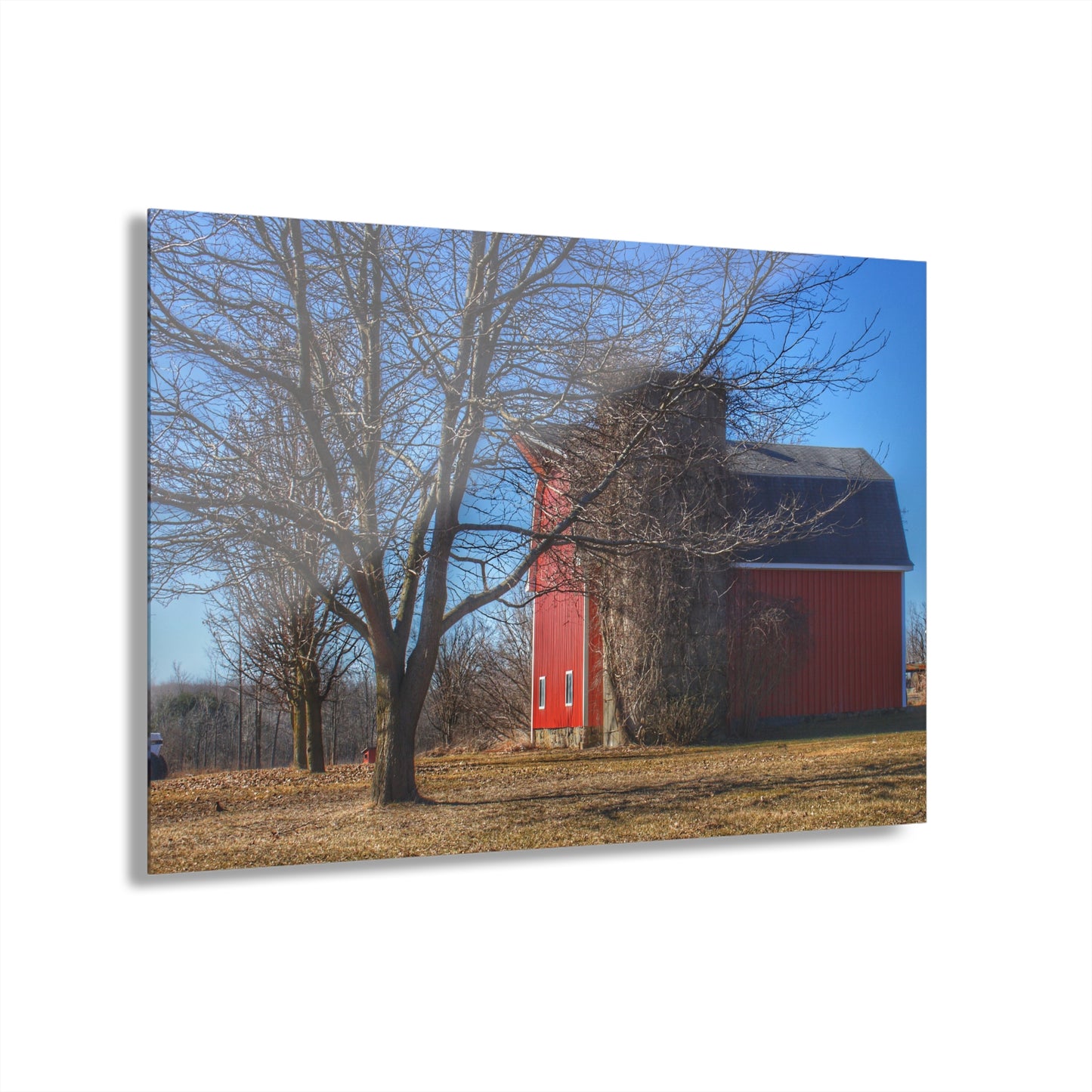 U R There Photography Leonard Road Red Rustic Farmhouse Acrylic Wall Print