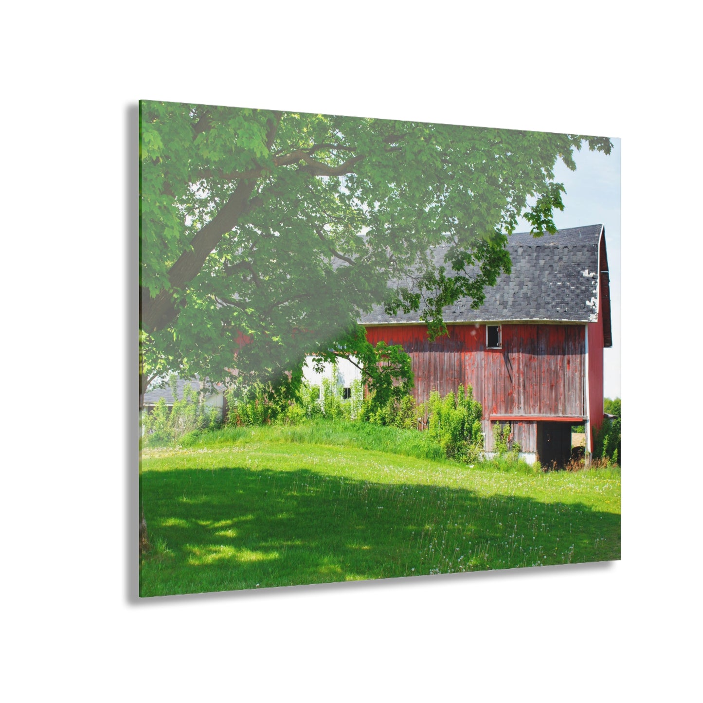 U R There Photography Colwood Road Red Rustic Farmhouse Acrylic Wall Print