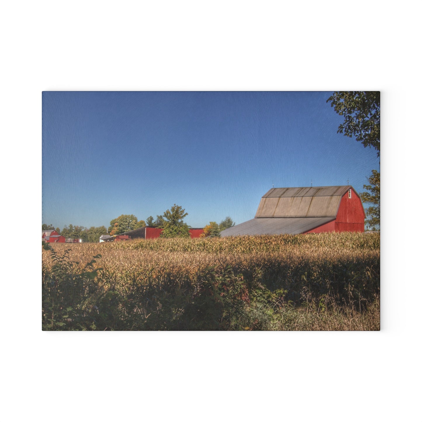 U R There Photography Red Saltbox Barn Rustic Farmhouse Tempered-Glass Cutting Board