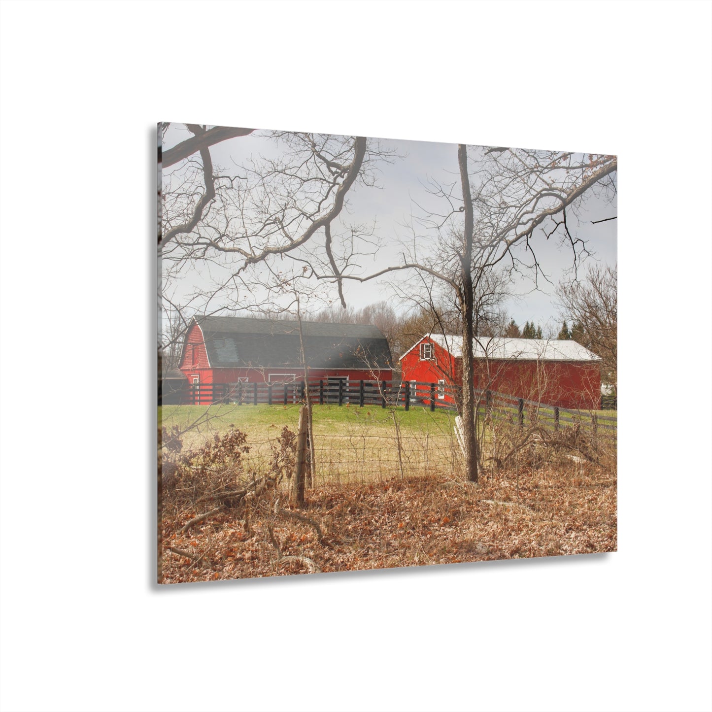 U R There Photography Hidden Hosner Reds Rustic Farmhouse Acrylic Wall Print