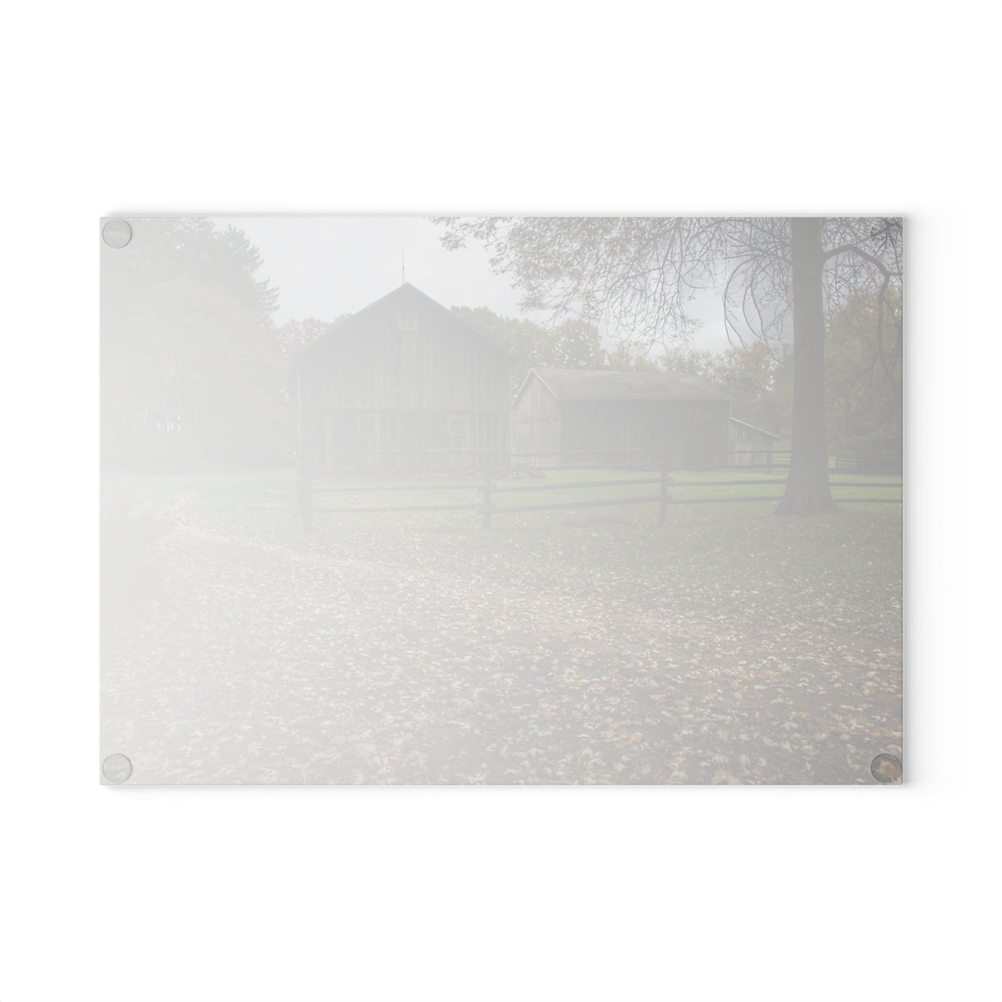 U R There Photography Wilder Road Greys II Rustic Farmhouse Tempered-Glass Cutting Board