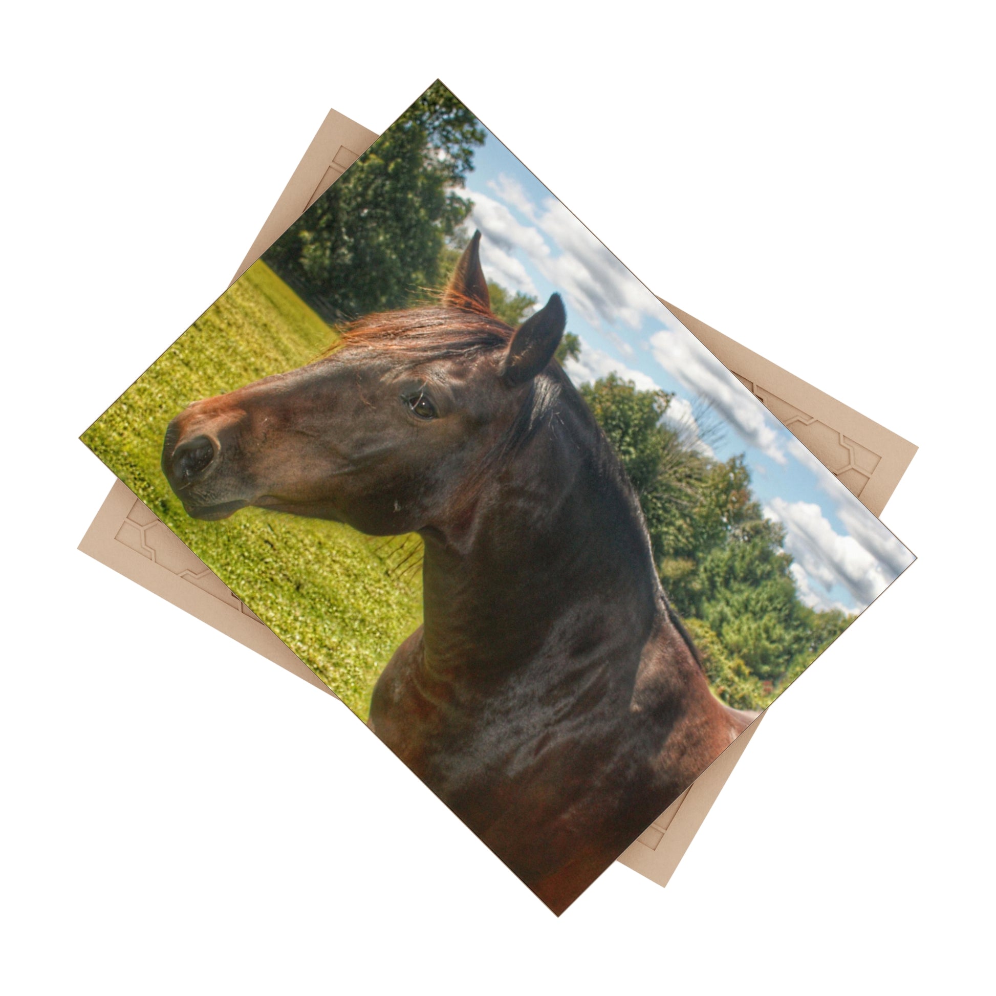 U R There Photography Brown Beauty I Rustic Farmhouse Decorative Ceramic Tile 6" × 8" Glossy