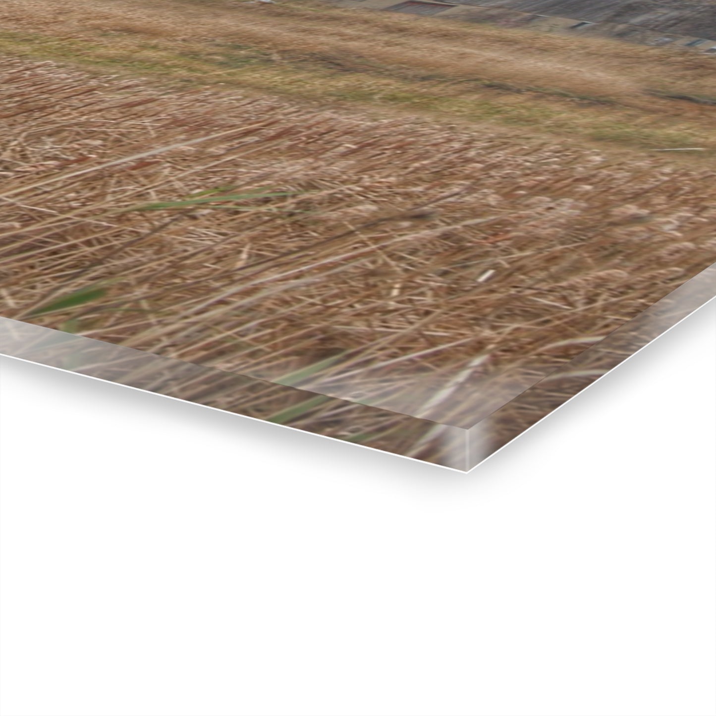 U R There Photography Swaffer Road Hilltop Grey Rustic Farmhouse Acrylic Wall Print