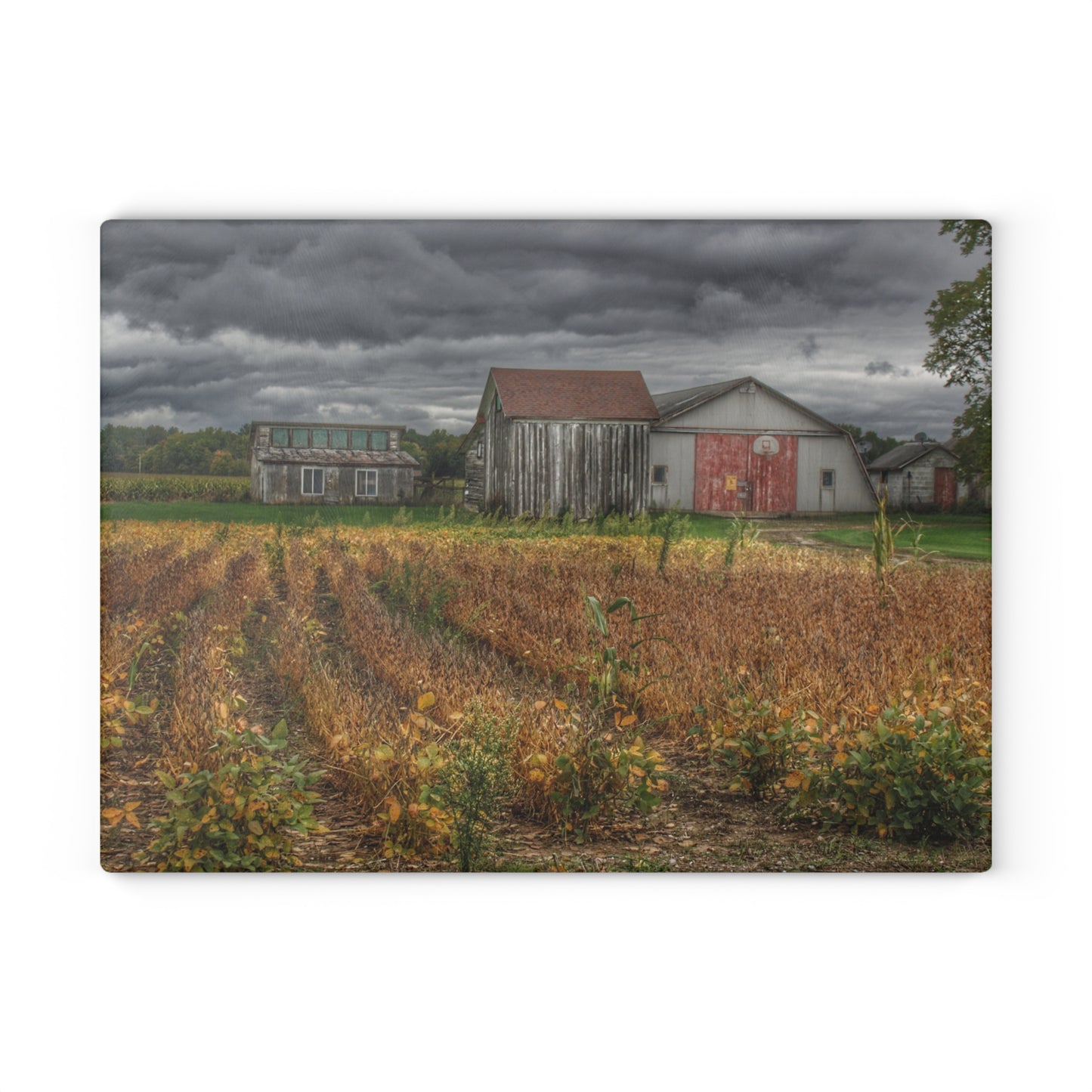 U R There Photography Murphy Lake Road Quonset Clan Rustic Farmhouse Tempered-Glass Cutting Board