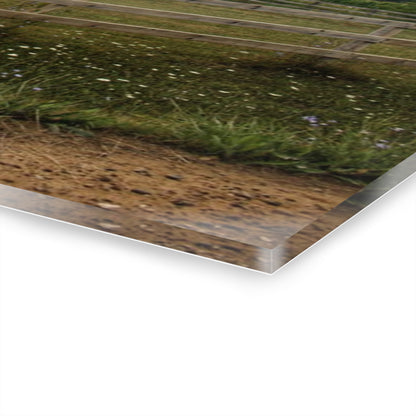 U R There Photography Elba Township Red Rustic Farmhouse Acrylic Wall Print