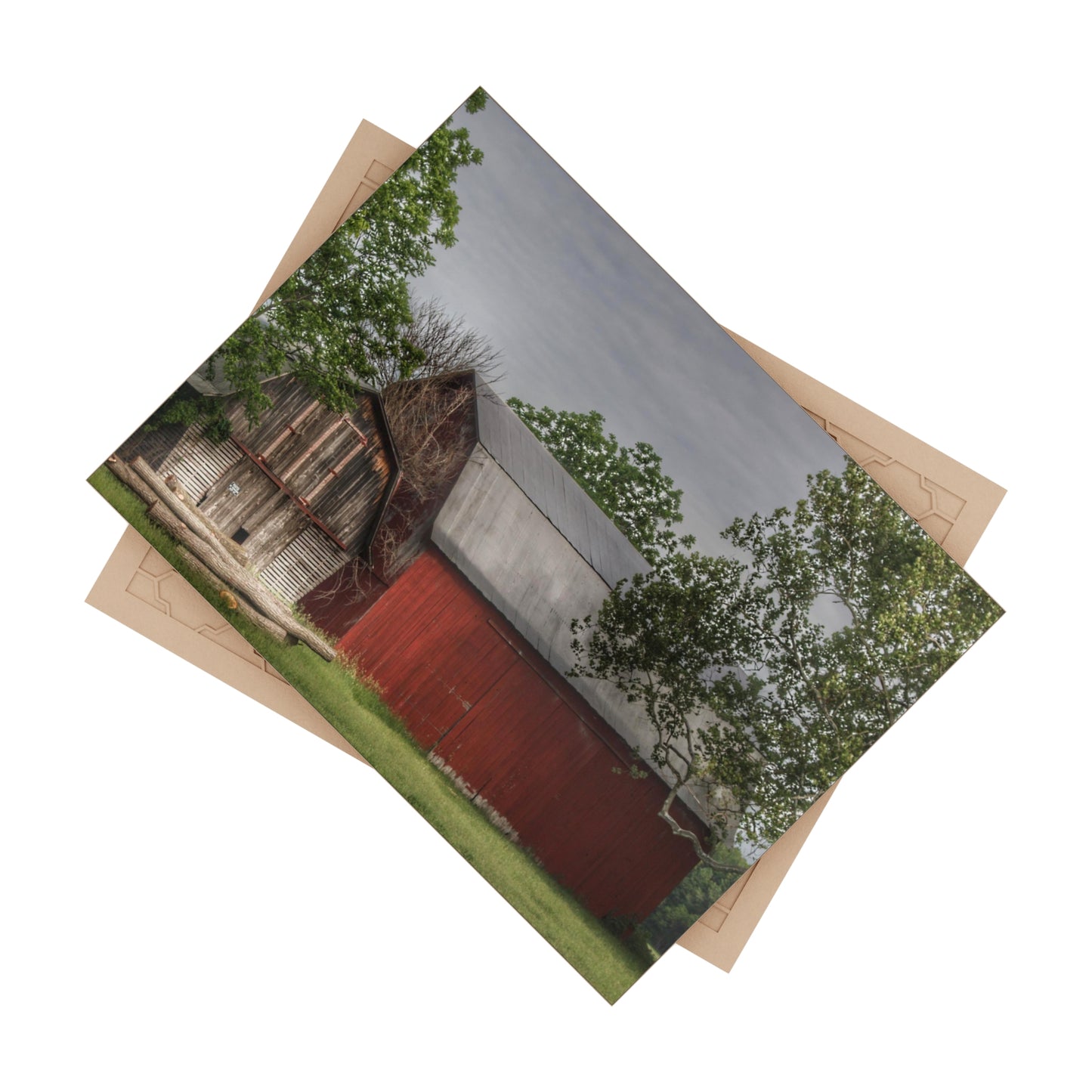 U R There Photography Barkley Road Buddies Rustic Farmhouse Decorative Ceramic Tile 6" × 8" Glossy