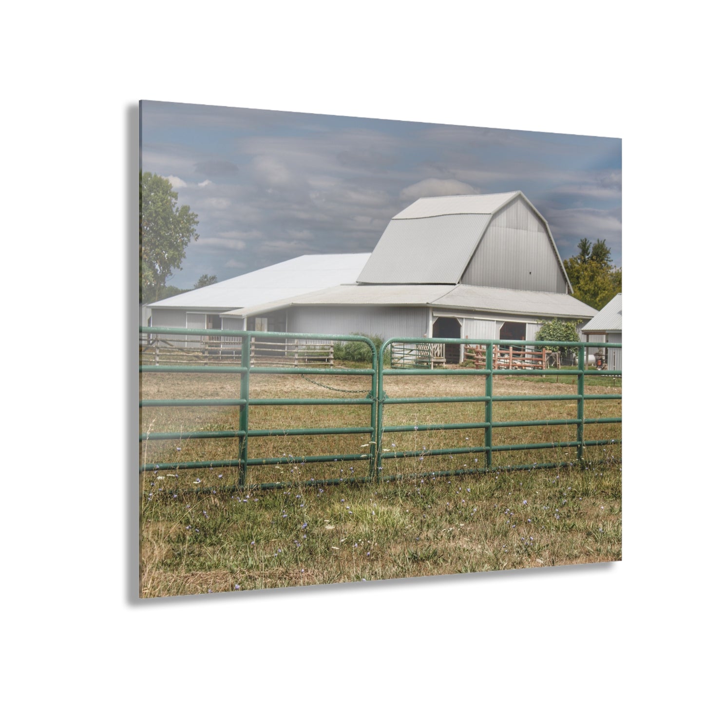 U R There Photography Petz Road Grey Rustic Farmhouse Acrylic Wall Print
