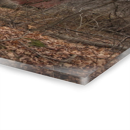 U R There Photography Mayville Hidden Barn II Rustic Farmhouse Acrylic Wall Print