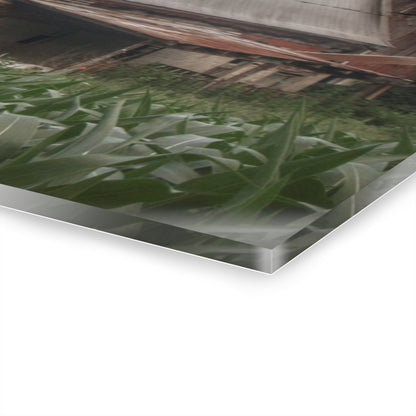 U R There Photography Murphy Lake Road Grey lI Rustic Farmhouse Acrylic Wall Print