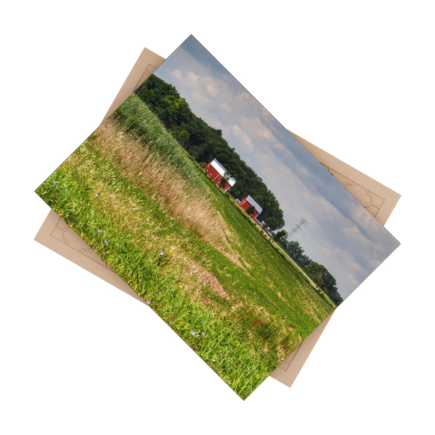 U R There Photography Across the Field in Elba II Rustic Farmhouse Decorative Ceramic Tile