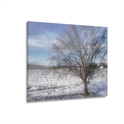 U R There Photography Winter Farm Willow Tree Rustic Farmhouse Acrylic Wall Print
