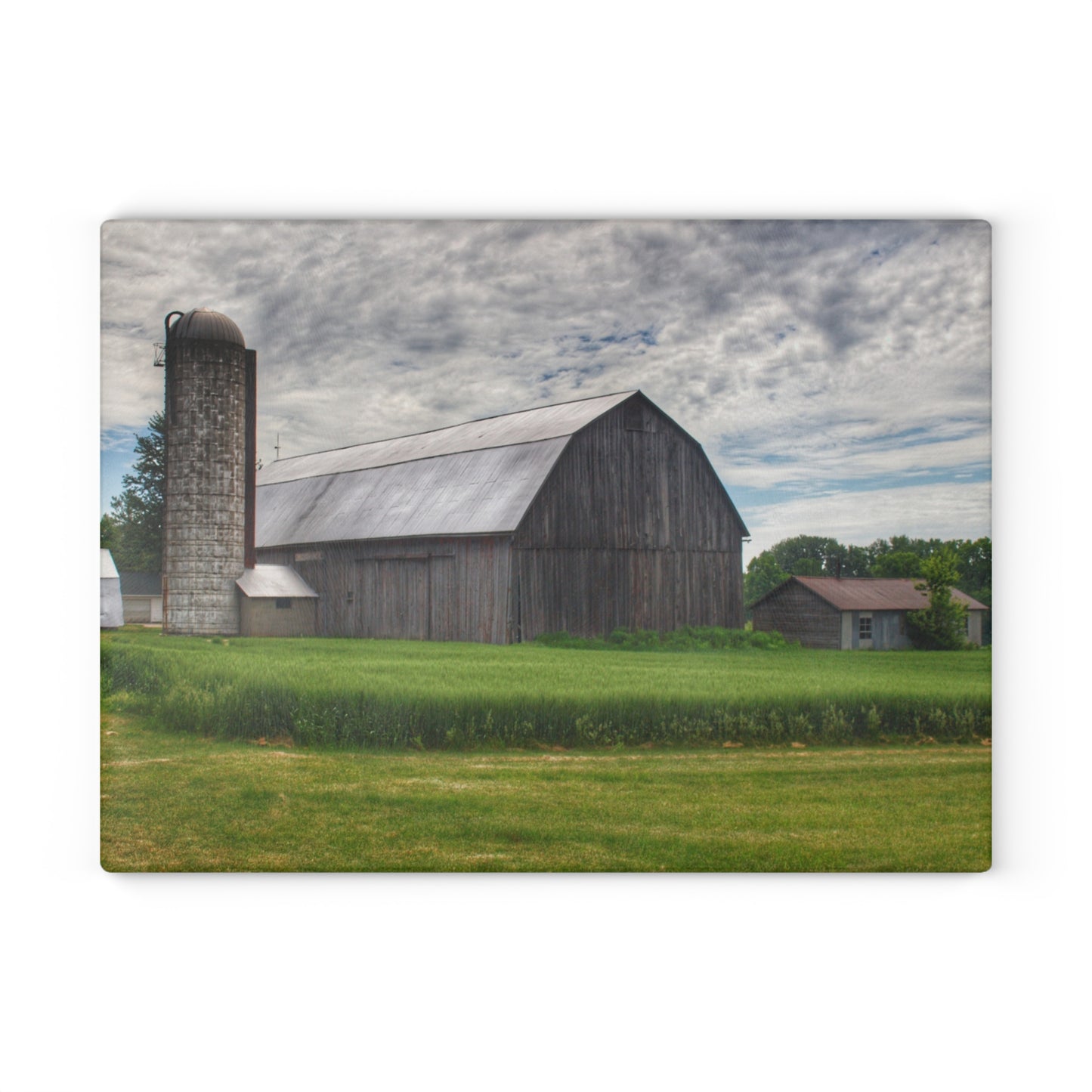 U R There Photography West Tuscola Road Grey Rustic Farmhouse Tempered-Glass Cutting Board