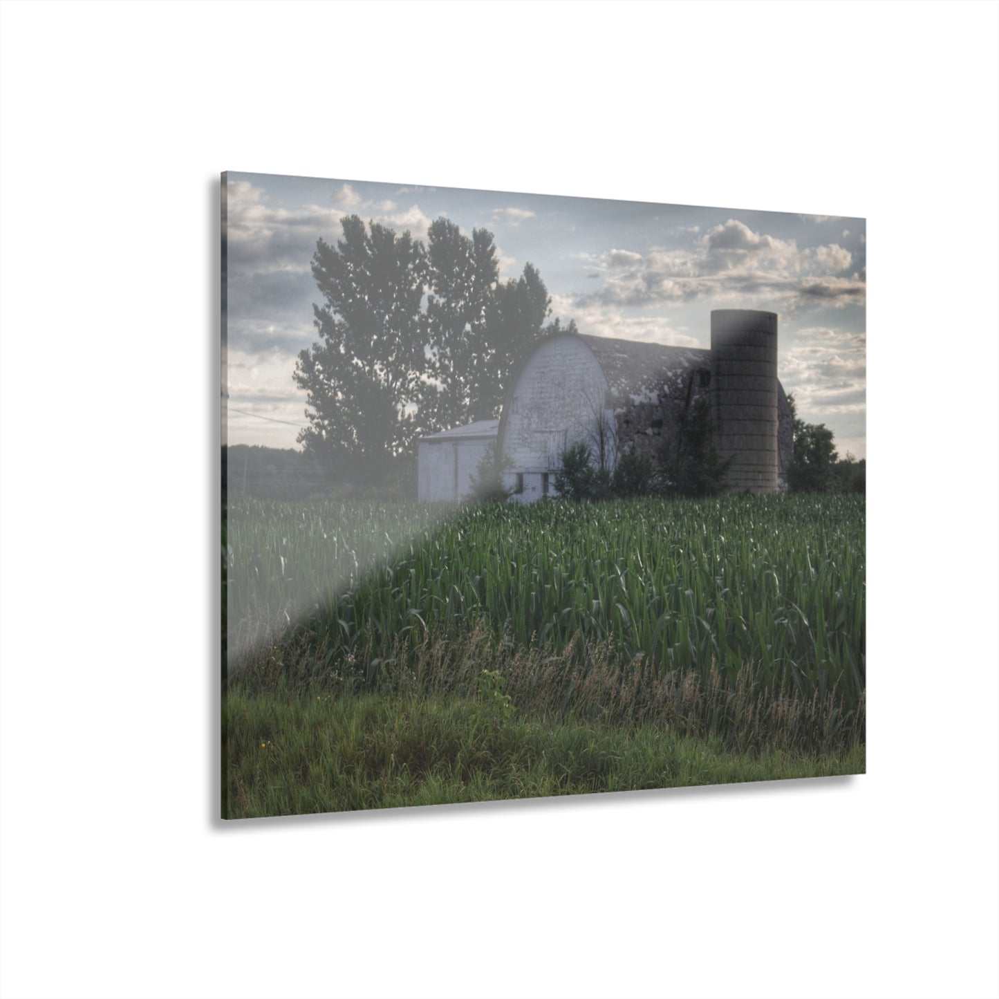 U R There Photography Genesee Road White Rustic Farmhouse Acrylic Wall Print