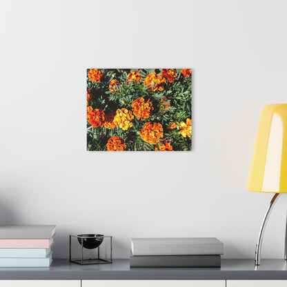 U R There Photography Marigolds Rustic Farmhouse Acrylic Wall Print