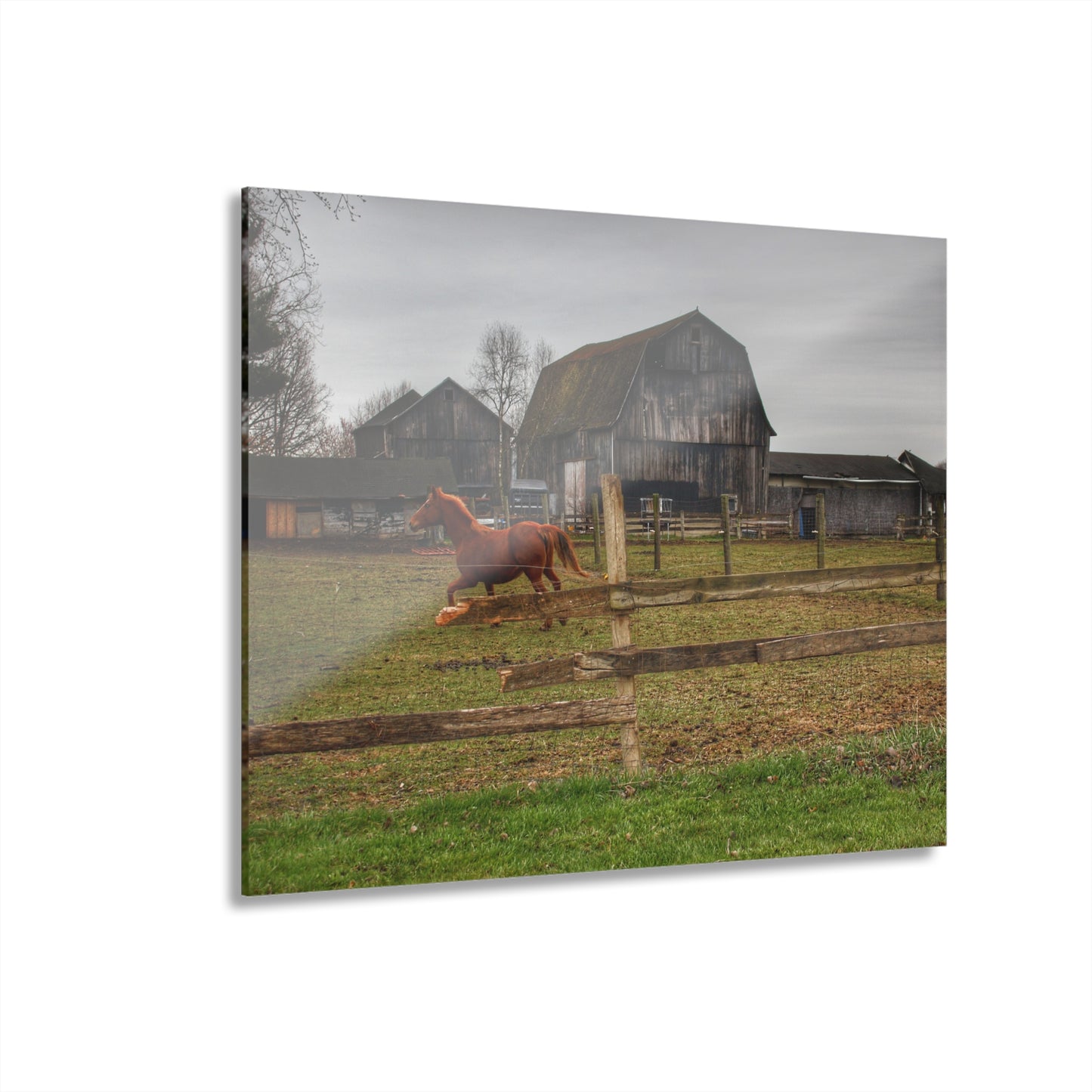 U R There Photography South Summers Road Old Grey and Caramel III Rustic Farmhouse Acrylic Wall Print
