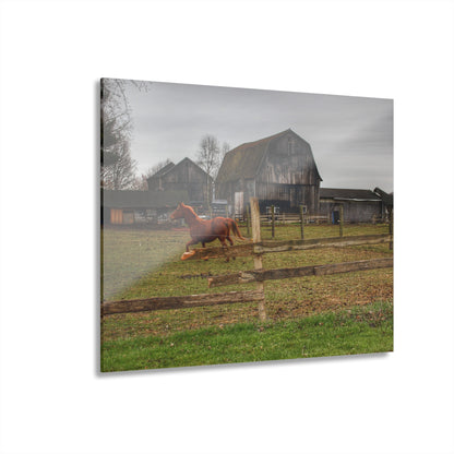 U R There Photography South Summers Road Old Grey and Caramel III Rustic Farmhouse Acrylic Wall Print