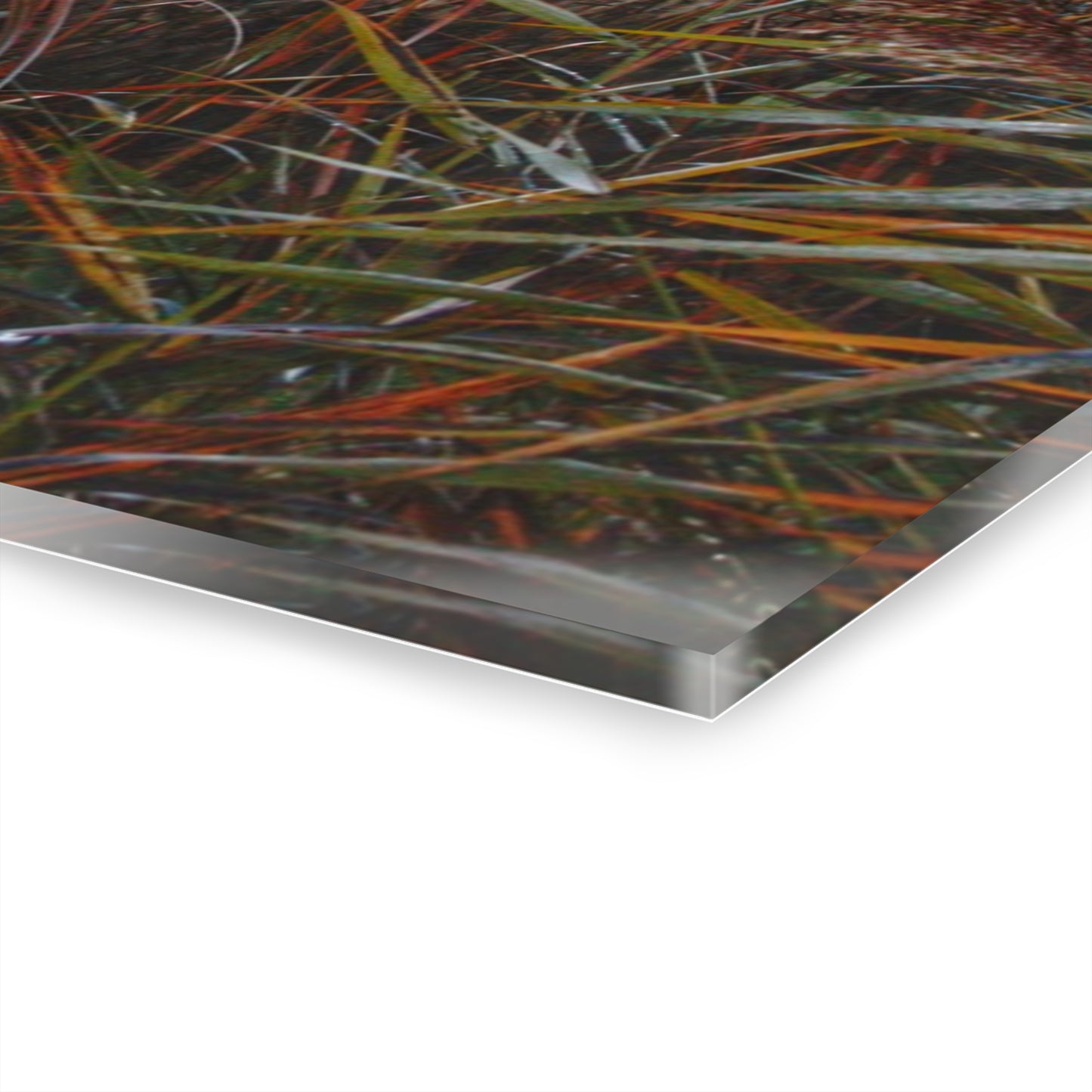 U R There Photography Haines Road Hidden Reds Rustic Farmhouse Acrylic Wall Print