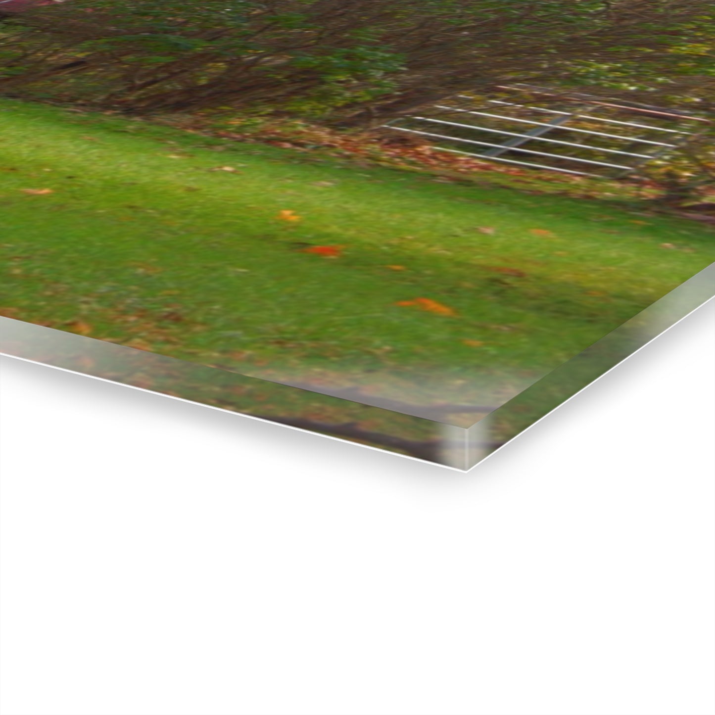 U R There Photography Millis Road Hidden Red Rustic Farmhouse Acrylic Wall Print