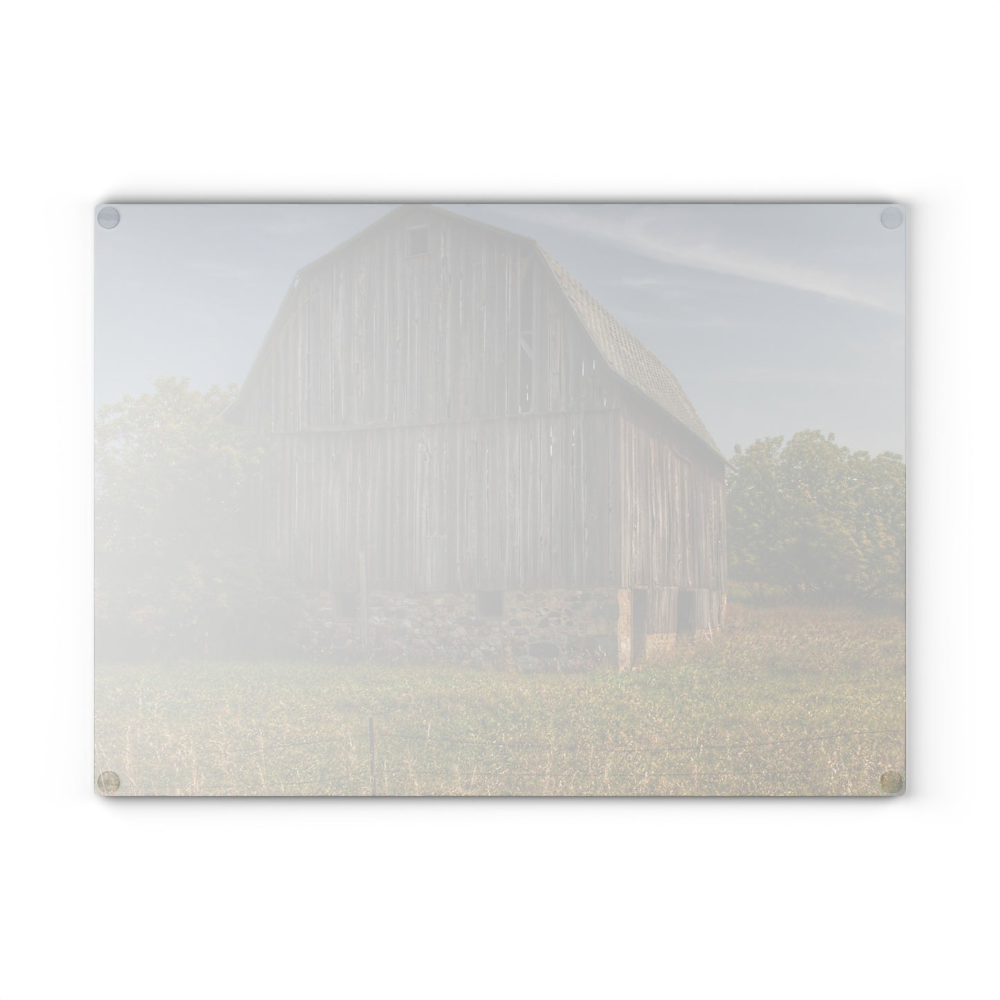U R There Photography Cat Lake Grey II Rustic Farmhouse Tempered-Glass Cutting Board