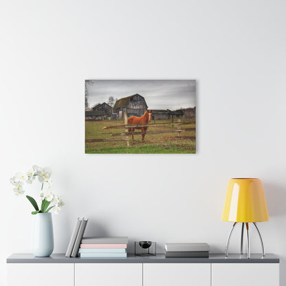 U R There Photography South Summers Road Old Grey and Caramel IV Rustic Farmhouse Acrylic Wall Print