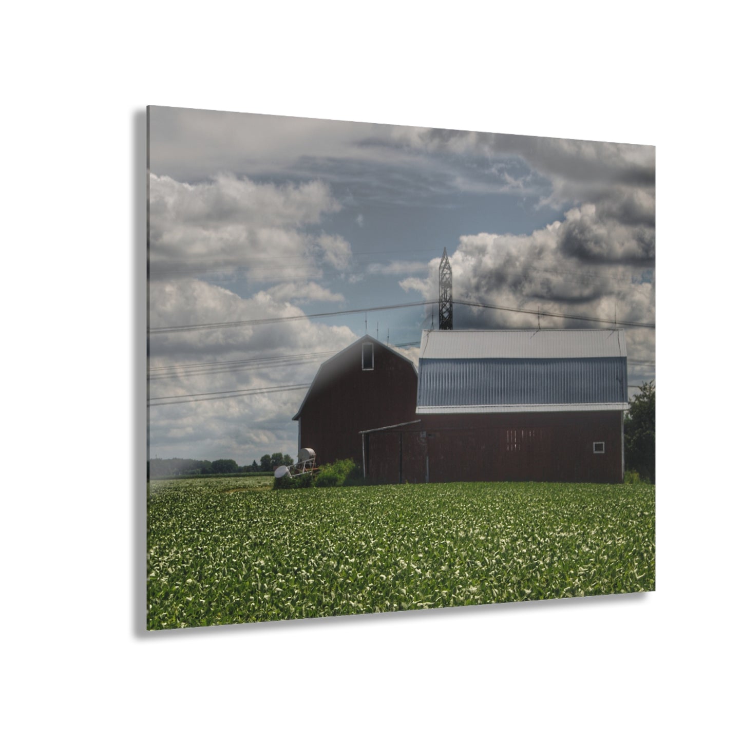U R There Photography South Reese Road Reds Rustic Farmhouse Acrylic Wall Print