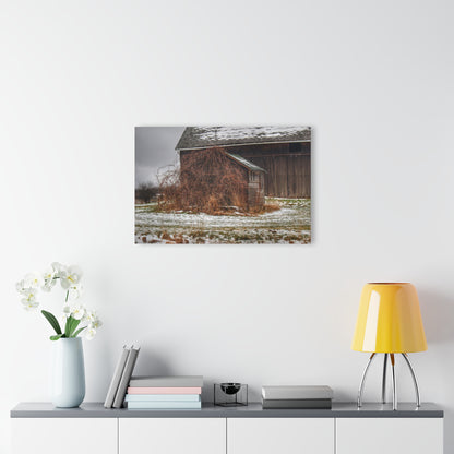 U R There Photography Wilder Road Little Grey Rustic Farmhouse Acrylic Wall Print