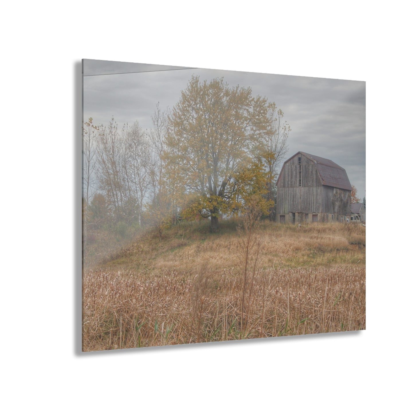 U R There Photography Swaffer Road Hilltop Grey Rustic Farmhouse Acrylic Wall Print