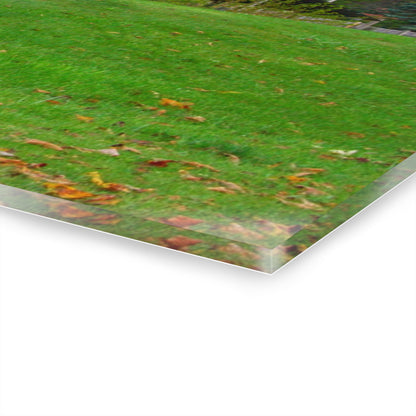 U R There Photography Frances Road Old Red II Rustic Farmhouse Acrylic Wall Print